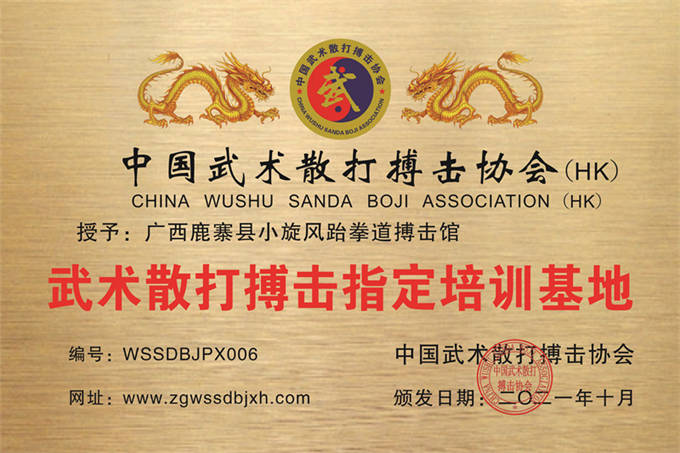 廣西鹿寨縣小旋風(fēng)跆拳道搏擊館